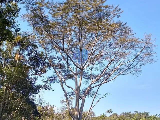 Terreno com 9200000m², à venda, no bairro Área Rural de Camboriú em Camboriú
