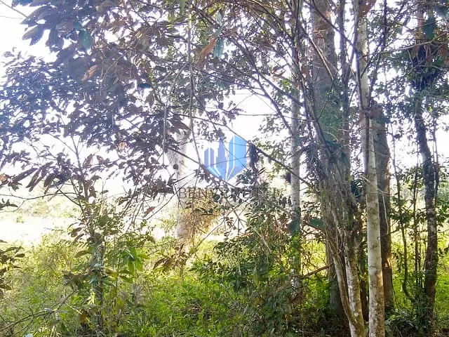 Terreno com 9200000m², à venda, no bairro Área Rural de Camboriú em Camboriú