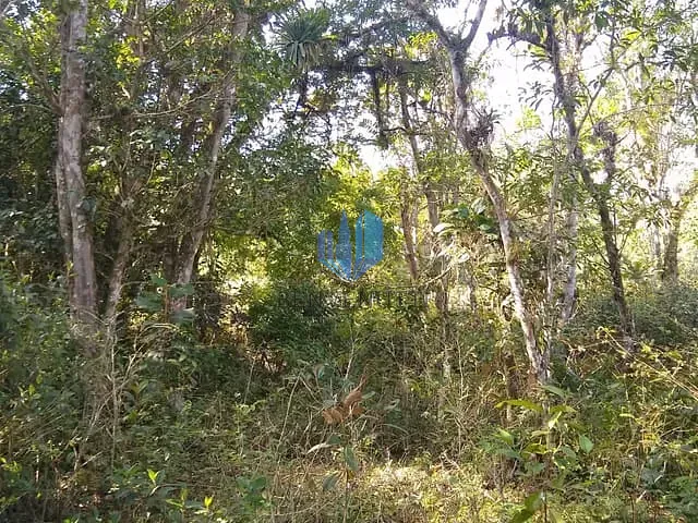 Terreno com 9200000m², à venda, no bairro Área Rural de Camboriú em Camboriú