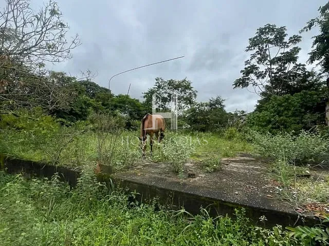Terreno com 2190m², à venda, no bairro Parque Veiga Jardim em Aparecida de Goiânia