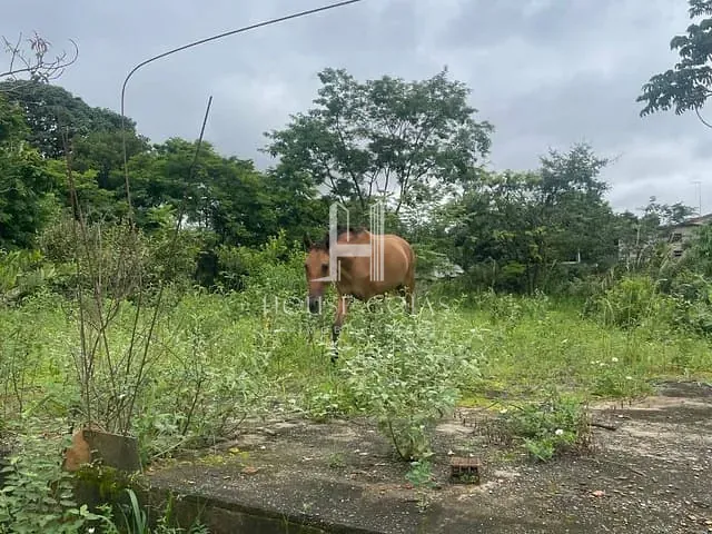 Terreno com 2190m², à venda, no bairro Parque Veiga Jardim em Aparecida de Goiânia