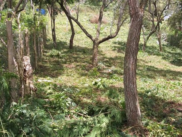 Terreno com 1050m², à venda, no bairro Araras em Petrópolis