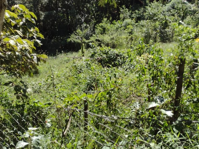 Terreno com 1050m², à venda, no bairro Araras em Petrópolis