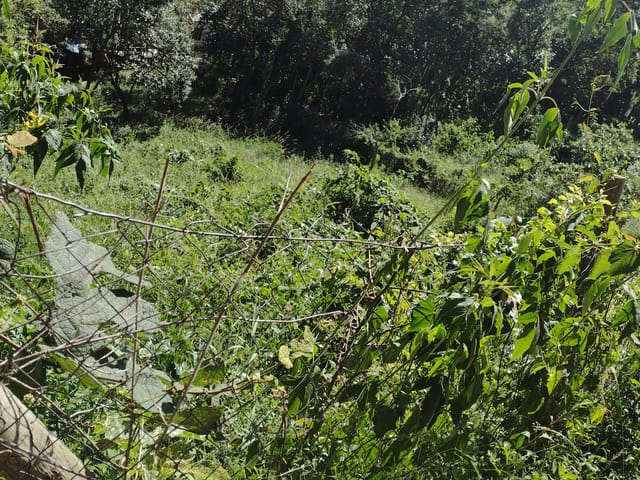 Terreno com 1050m², à venda, no bairro Araras em Petrópolis