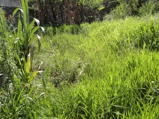 Terreno com 517m², à venda, no bairro Parque Residencial Bambi em Guarulhos