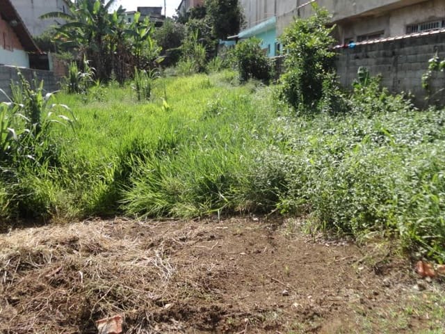 Terreno com 517m², à venda, no bairro Parque Residencial Bambi em Guarulhos