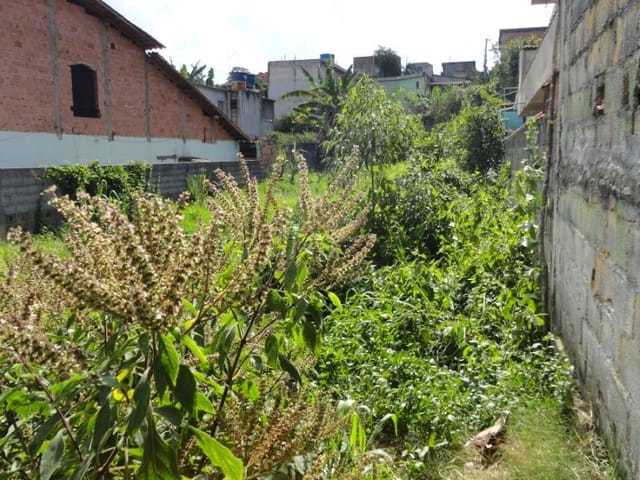 Terreno com 517m², à venda, no bairro Parque Residencial Bambi em Guarulhos