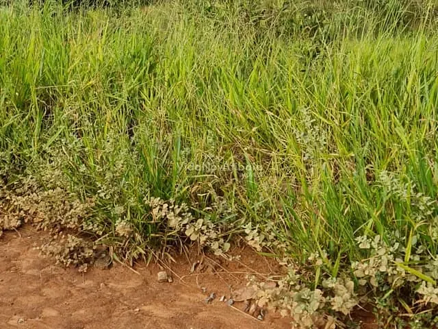 Terreno com 900m², à venda, no bairro Jardim Centenário em Atibaia