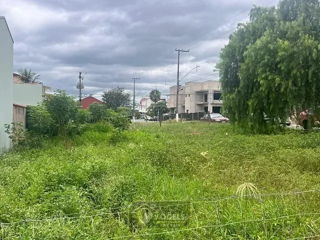 Terreno com 332m², à venda, no bairro Morada das Flores em Holambra