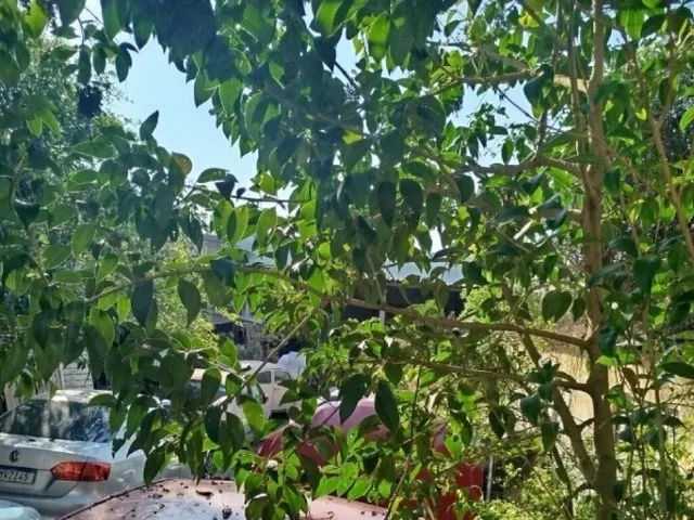 Terreno com 490m², à venda, no bairro Vila Gilda em Santo André