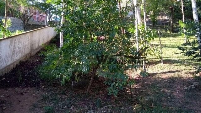 Terreno com 520m², à venda, no bairro Praia Perequê em Ilhabela