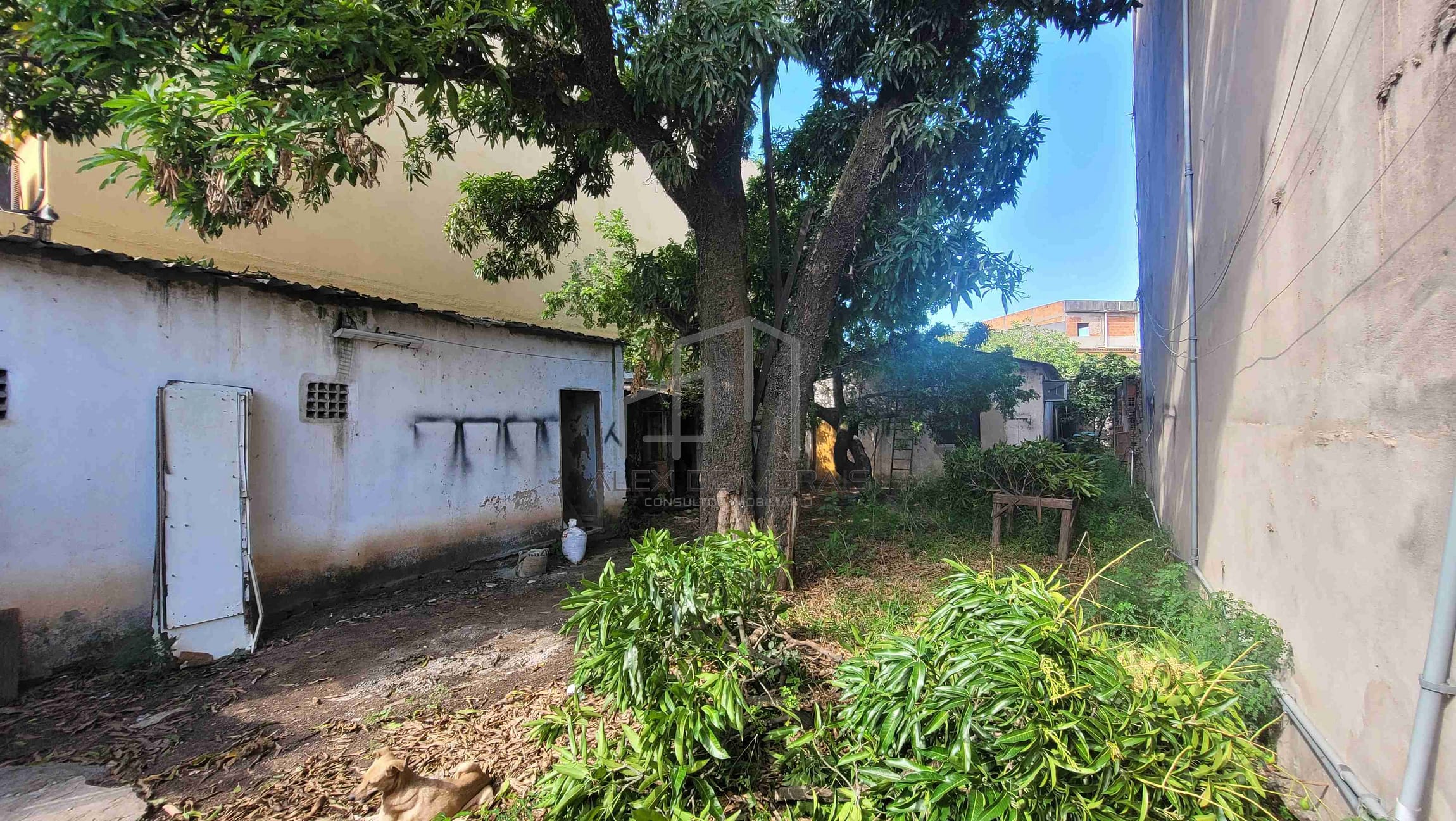 Terreno, 360 m² - Foto 10