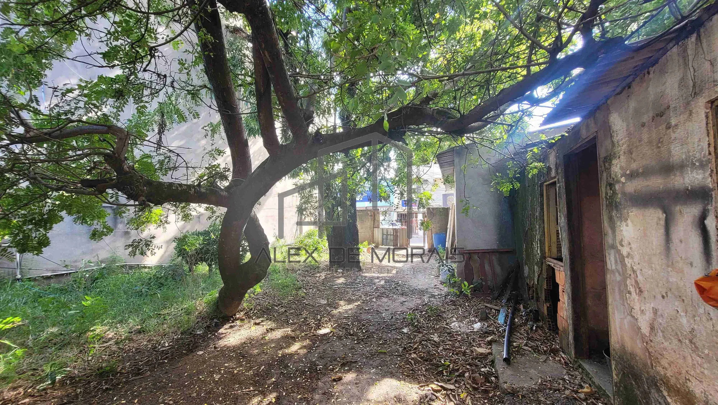 Terreno, 360 m² - Foto 8