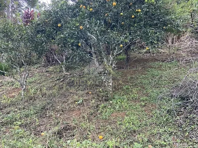 Terreno com 1955m², à venda, no bairro Filgueiras em Juiz de Fora