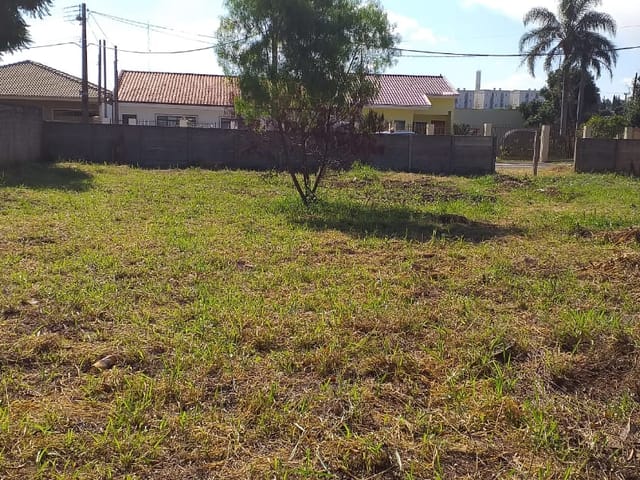 Terreno com 530m², à venda, no bairro Cará-cará em Ponta Grossa