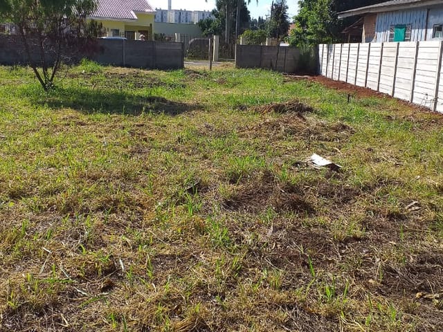 Terreno com 530m², à venda, no bairro Cará-cará em Ponta Grossa
