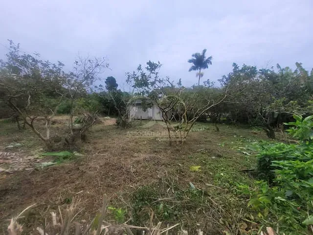 Terreno com 500m², à venda, no bairro Lagoa da Conceição em Florianópolis