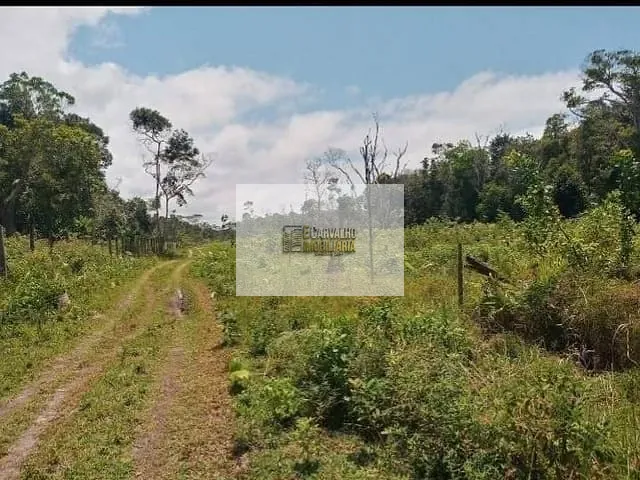 Terreno com 4000m², à venda, no bairro Aritaguá em Ilhéus