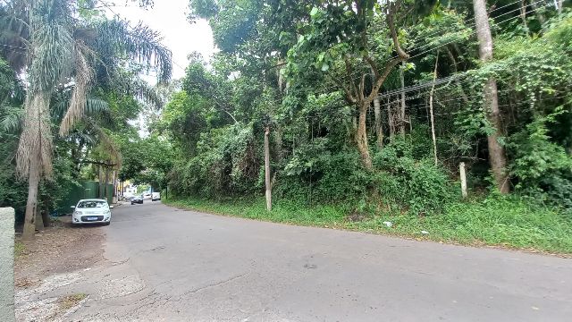 Foto do Terreno - Terreno de zoneamento misto, à Venda, na Granja Viana, em Cotia, SP | Casa Husti Imóveis