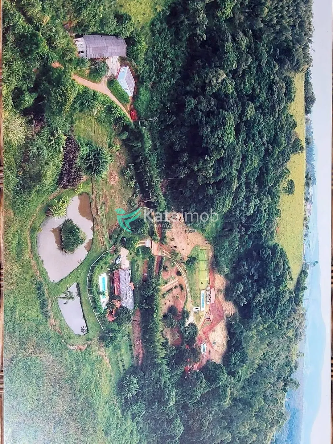 Terreno, 7 hectares - Foto 3
