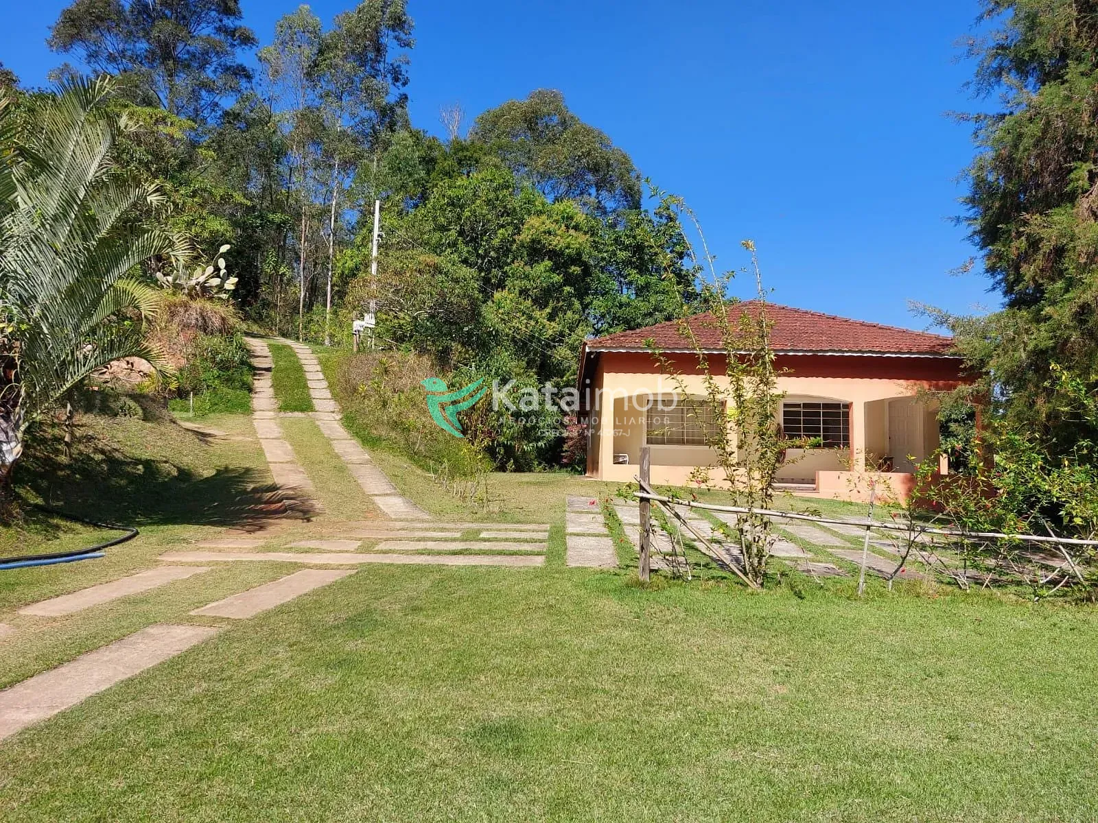 Terreno, 7 hectares - Foto 6