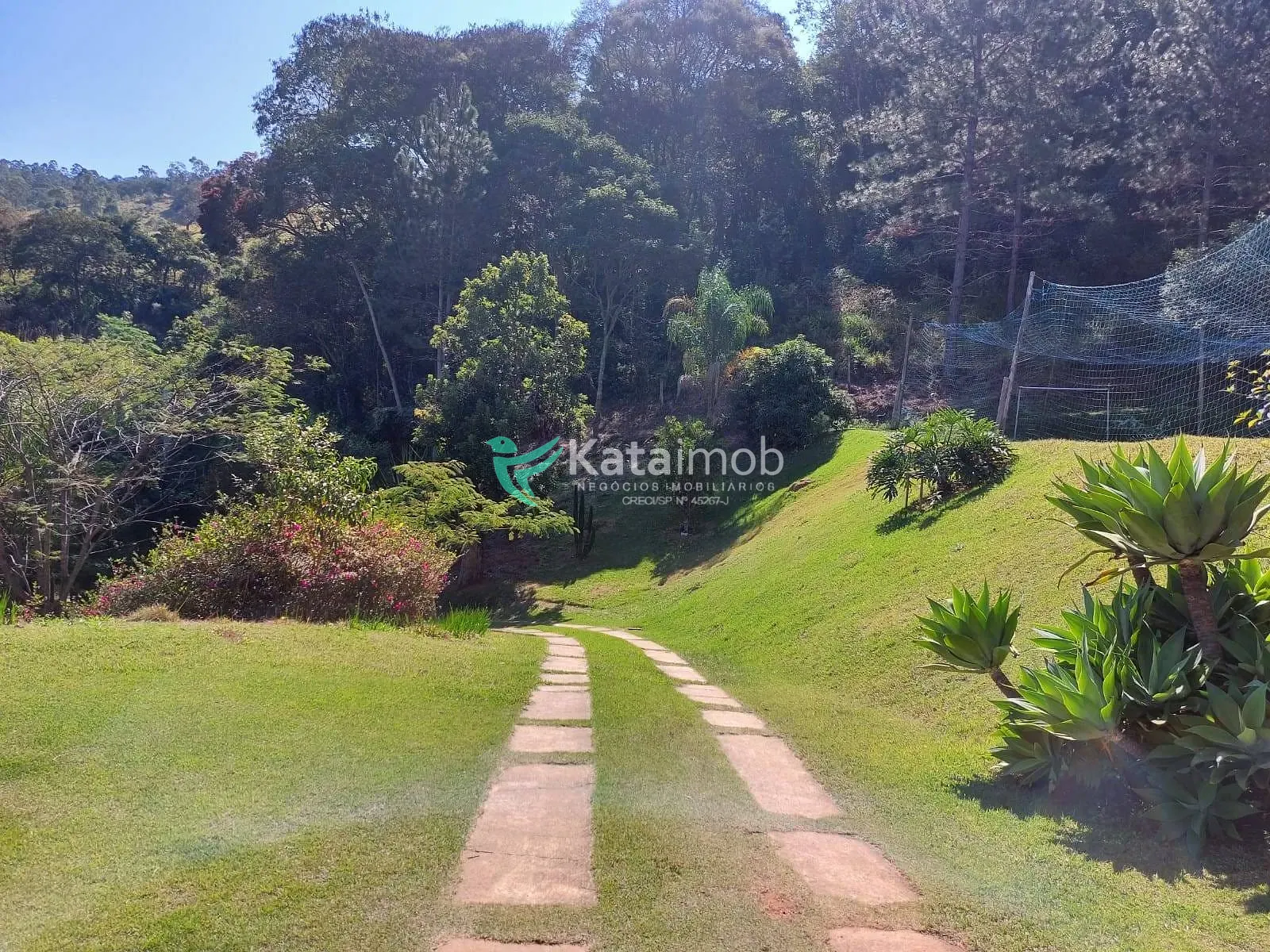 Terreno, 7 hectares - Foto 11