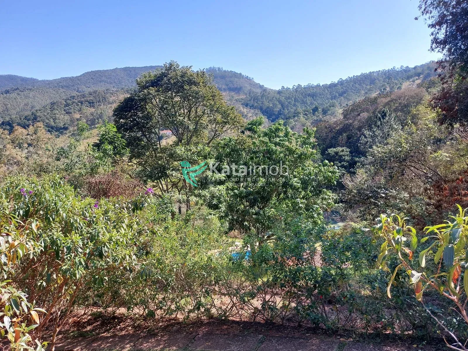 Terreno, 7 hectares - Foto 13