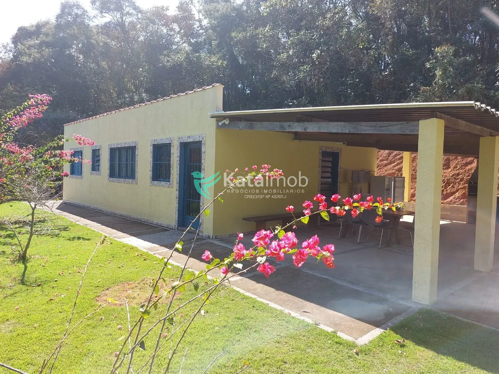 Terreno, 7 hectares - Foto 16