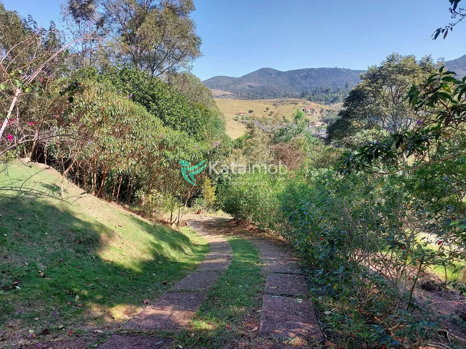 Terreno, 7 hectares - Foto 17
