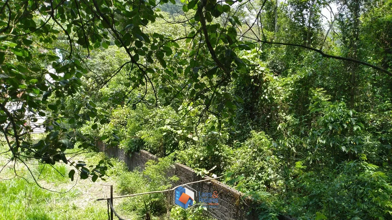 Terreno, 1562 m² - Foto 12