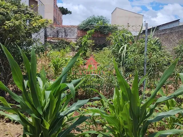 Terreno com 288m², à venda, no bairro Novo Mundo em Curitiba