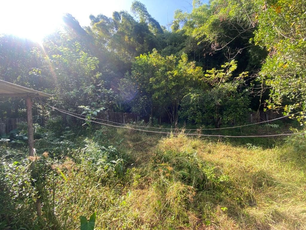 Terreno no Boa Vista — foto 3