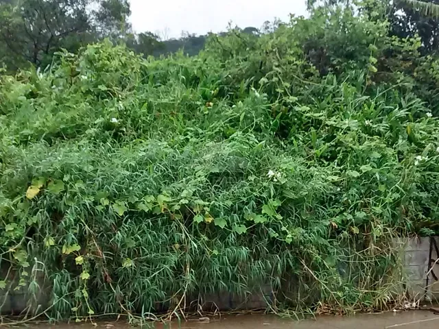Terreno à venda, no bairro Vila Marquesa de Santos em Ribeirão Pires