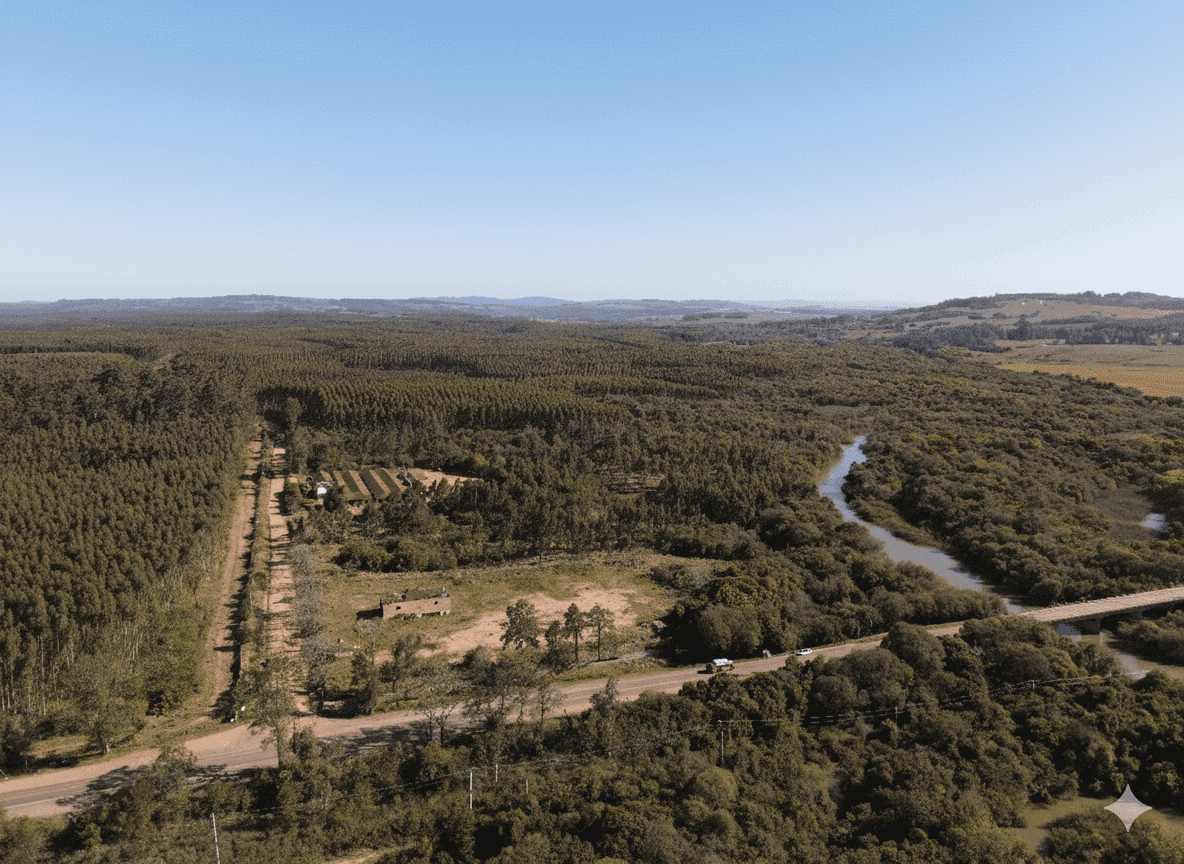 Terreno, 3 hectares - Foto 3