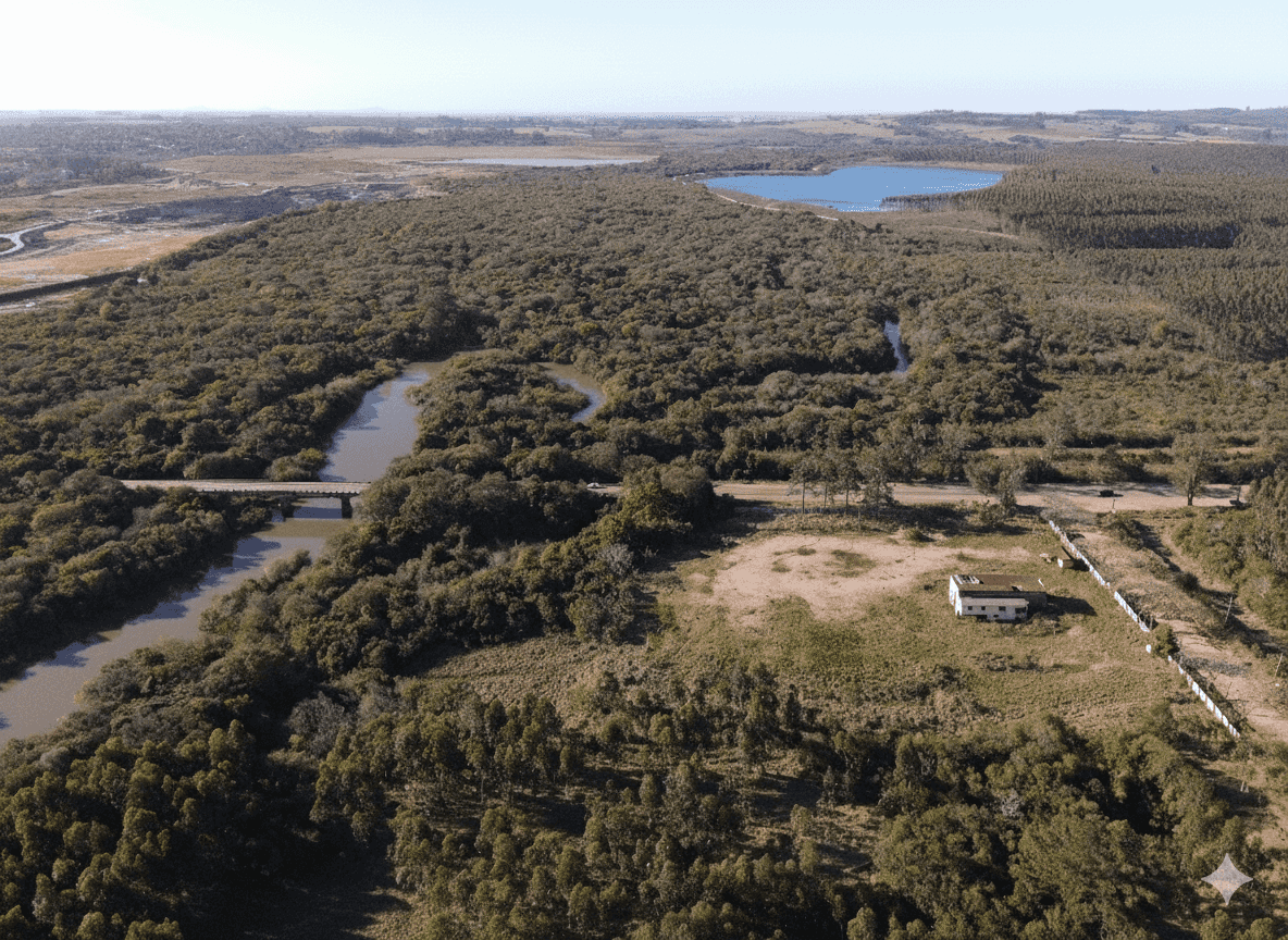 Terreno, 3 hectares - Foto 1