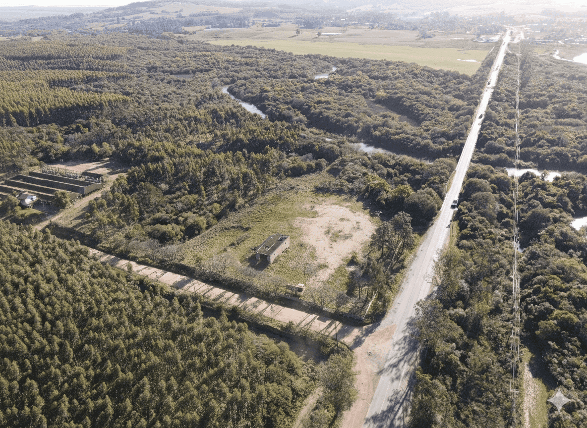 Terreno, 3 hectares - Foto 5