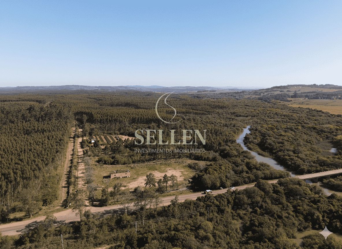 Terreno, 3 hectares - Foto 4