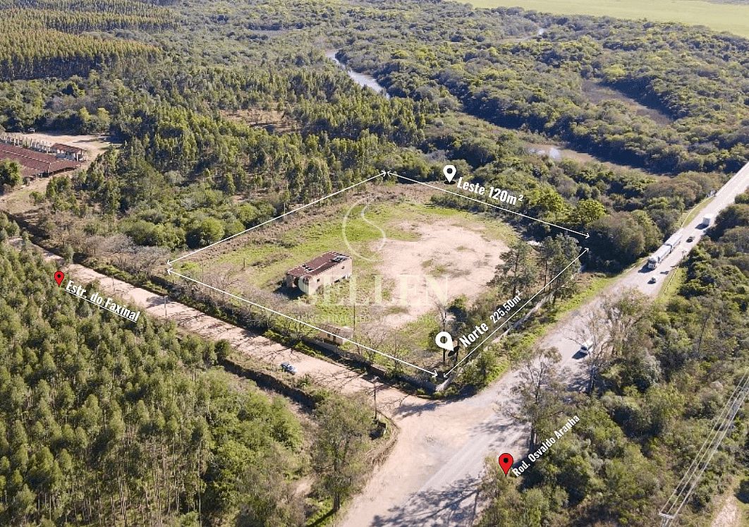 Terreno, 3 hectares - Foto 1