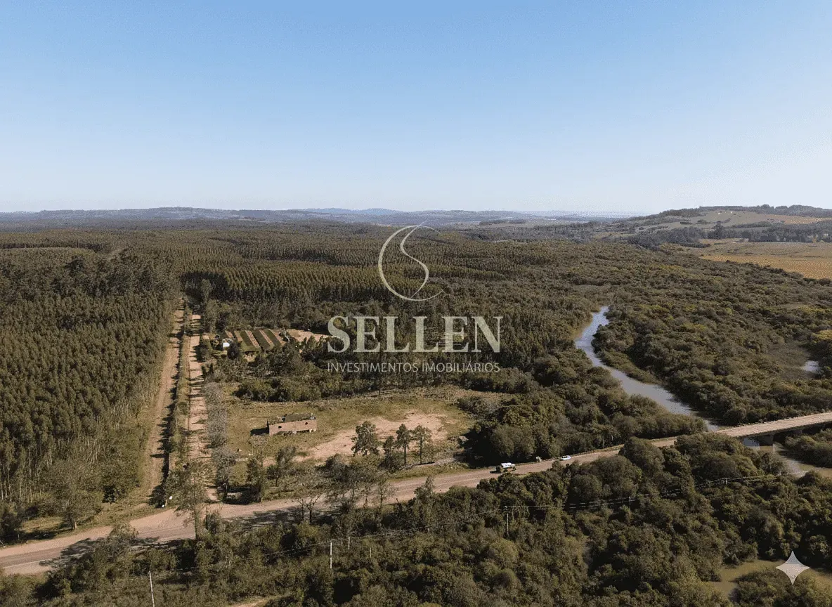 Terreno, 3 hectares - Foto 4
