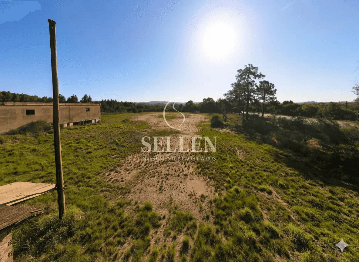 Terreno, 3 hectares - Foto 7