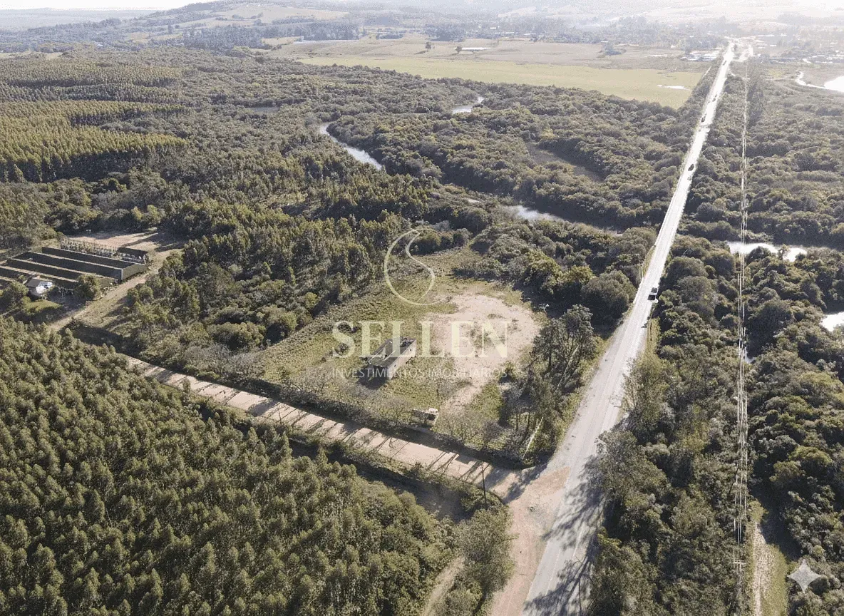 Terreno, 3 hectares - Foto 3