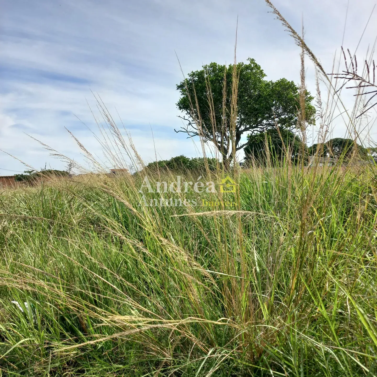 Terreno, 600 m² - Foto 19