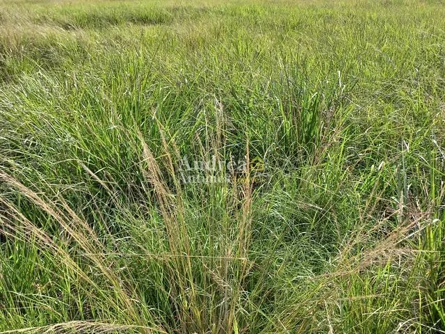 Terreno com 600m², à venda, no bairro IGUABINHA em Araruama
