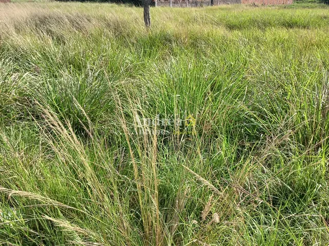 Terreno com 600m², à venda, no bairro IGUABINHA em Araruama