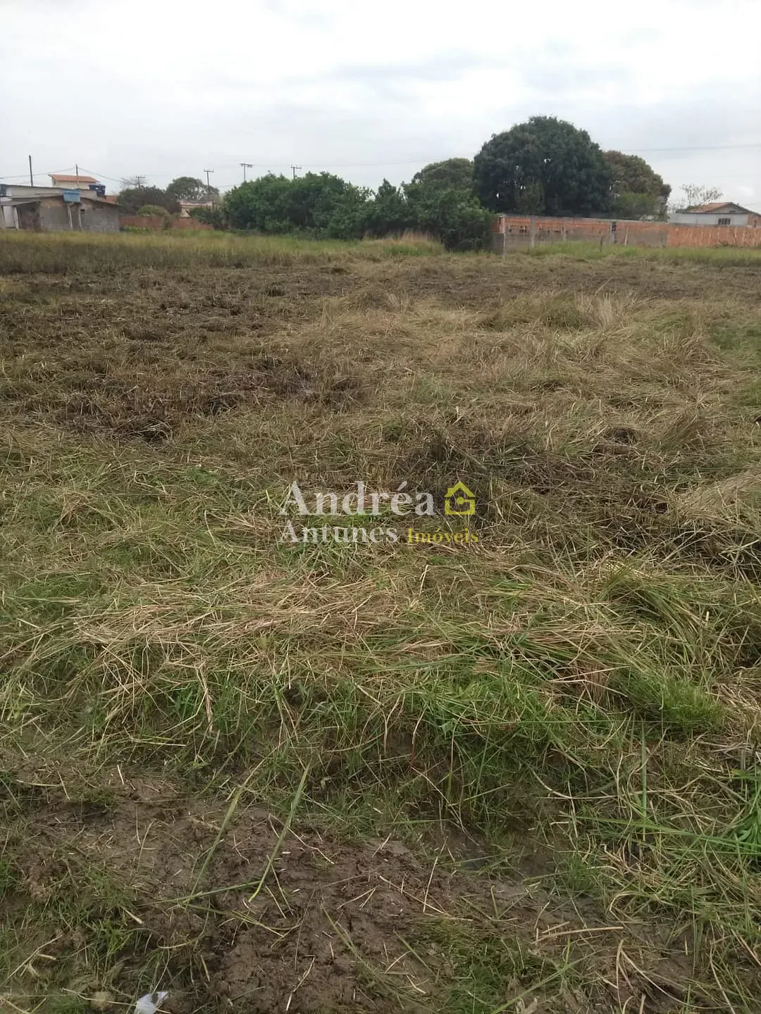 Terreno, 600 m² - Foto 13