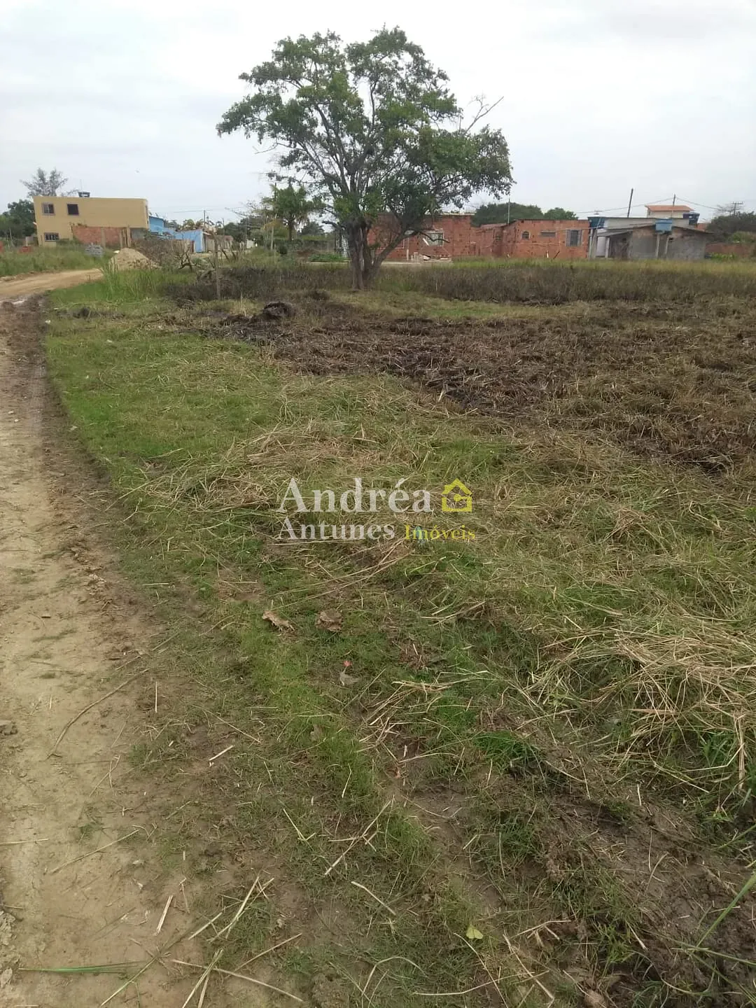 Terreno, 600 m² - Foto 14