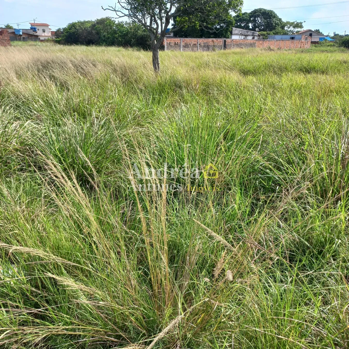 Terreno, 600 m² - Foto 15