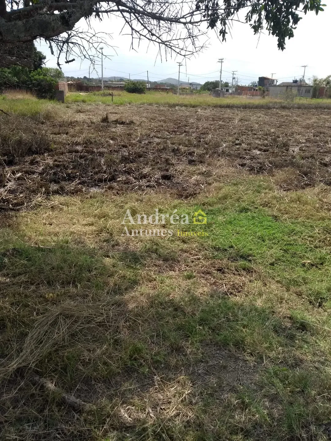 Terreno, 600 m² - Foto 11