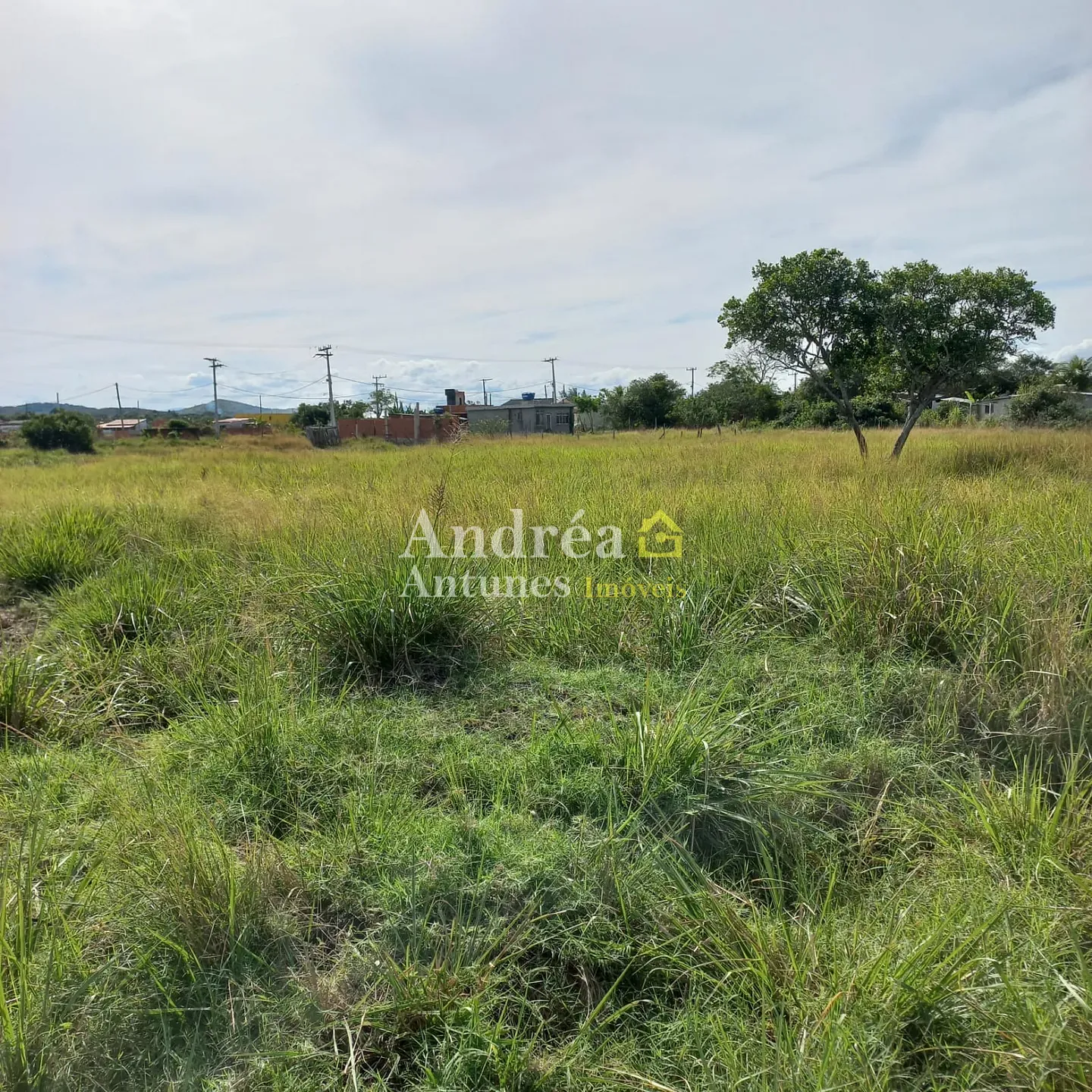 Terreno, 600 m² - Foto 7