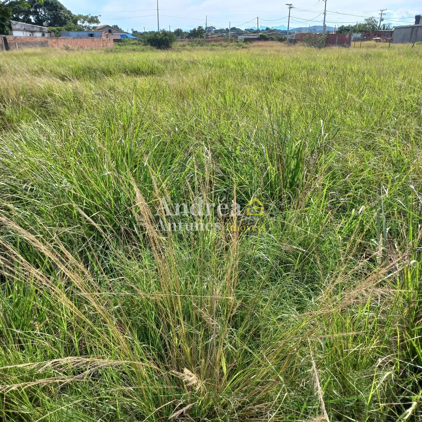 Terreno, 600 m² - Foto 2
